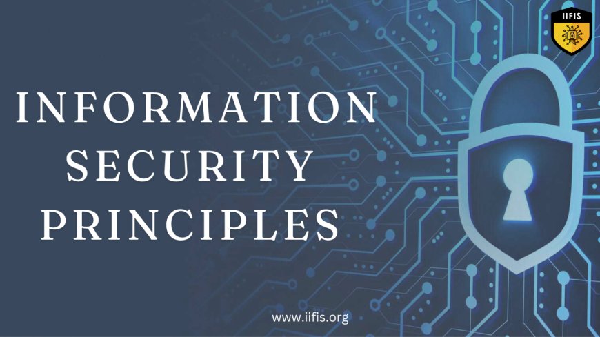 Overview of General Information Security Principles