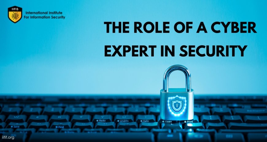 The Role of a Cyber Expert in Security 