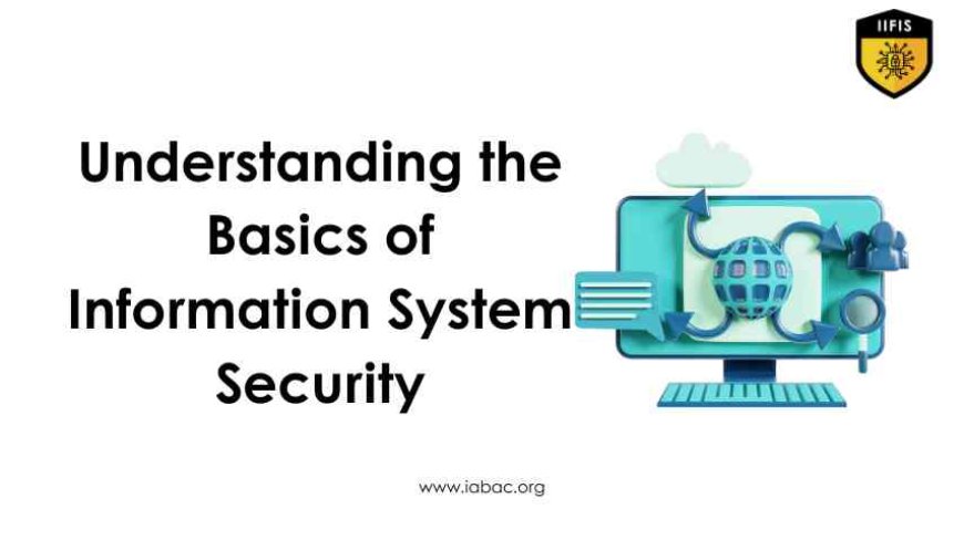 Understanding the Basics of Information System Security