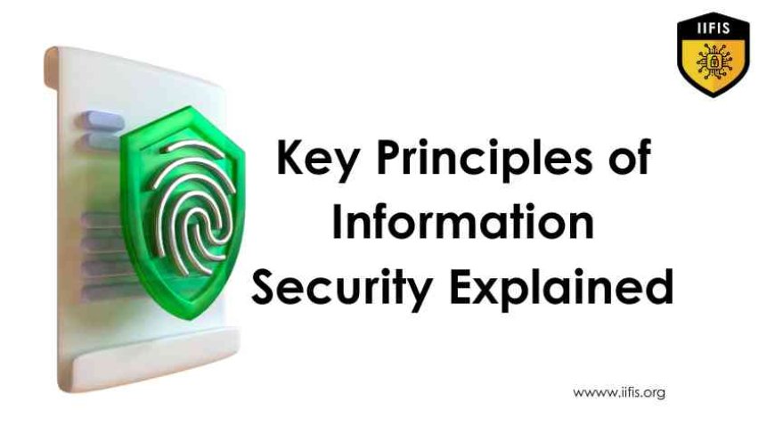 Key Principles of Information Security Explained