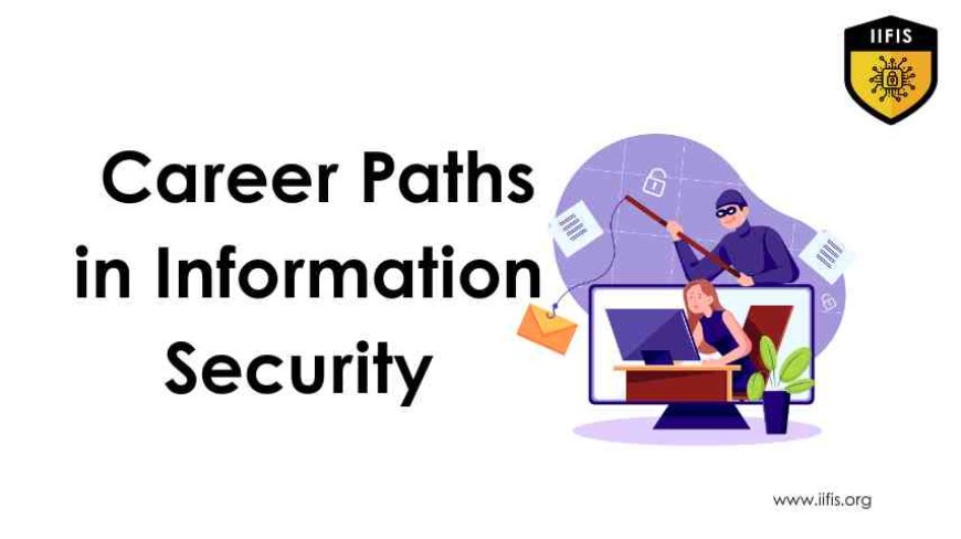  Explore Career Paths in Information Security Analyst