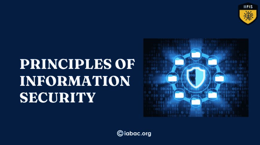 Core Principles of Information Security for Data Protection