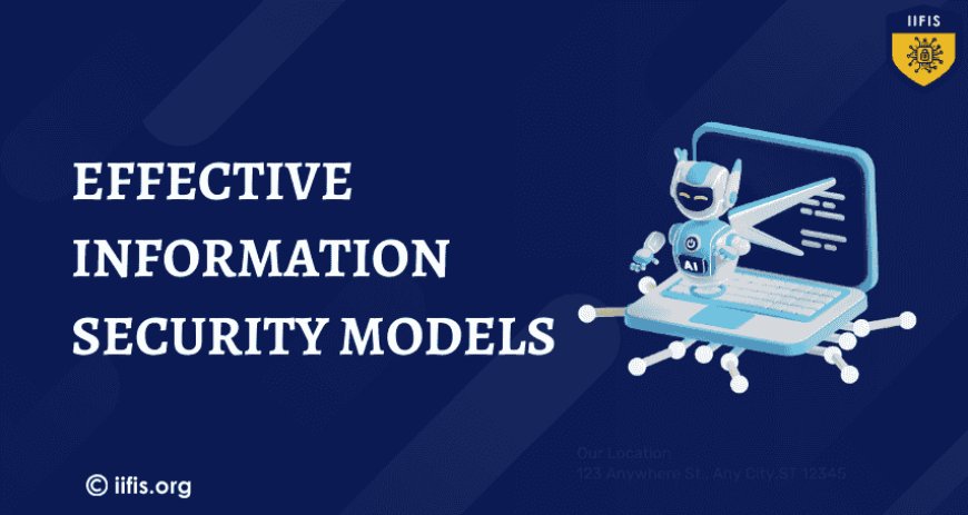 A Guide to Effective Information Security Models and Practices