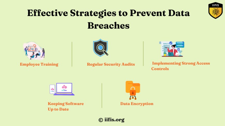 Effective Strategies to Prevent Data Breaches