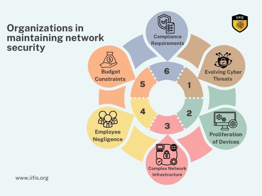 organizations in maintaining network security