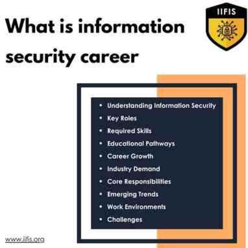 what is information security career ?