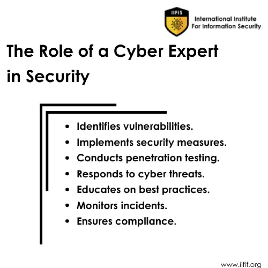 The role of cyber expert in security