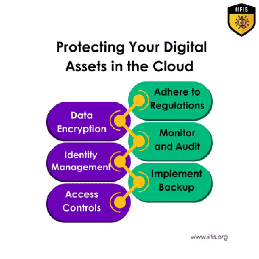 Protecting Your Digital Assets in the Cloud