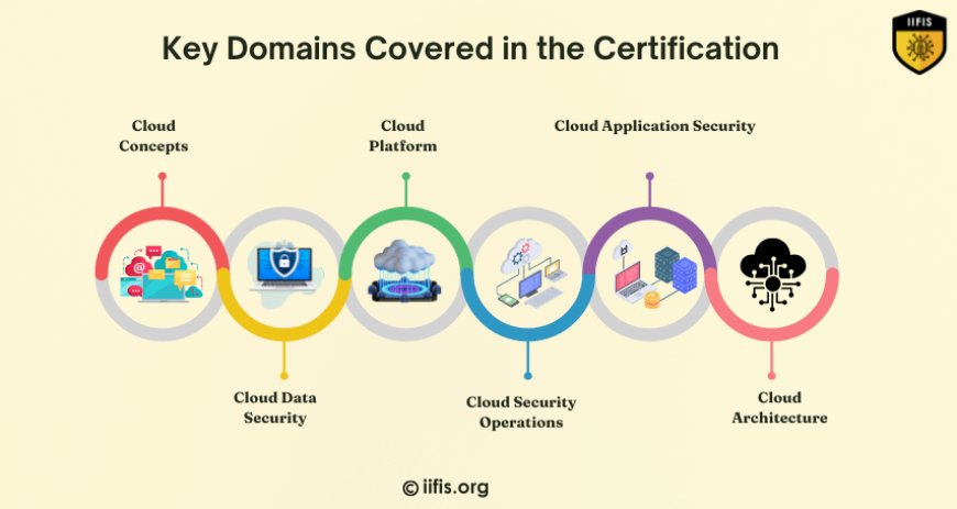 Key Domains Covered in the Certification